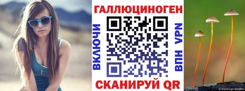 Псилоцибиновые грибы GOLDEN TEACHER  Кудрово 