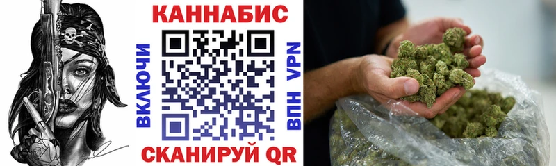 Канабис сатива Кудрово